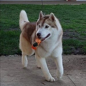 Meet your Posher, Jamesa